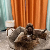 Corduroy Dog Bed for All Seasons