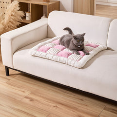 Thick Non-Slip Washable Pet Mat