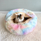 Enclosed Winter Cat Bed