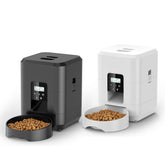 SmartPet Feeder