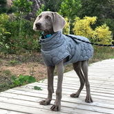 Heavy Duty Winter Dog Coat