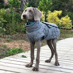 Heavy Duty Winter Dog Coat