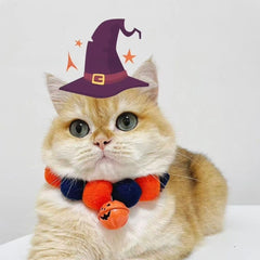 Collier d'Halloween pour chats et chiens