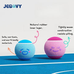 Squeaky Tennis Ball Dog Toy on Elastic Rope