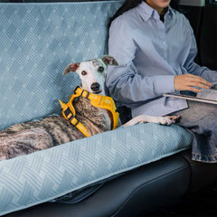 Car Pet Seat Cover|PawVot
