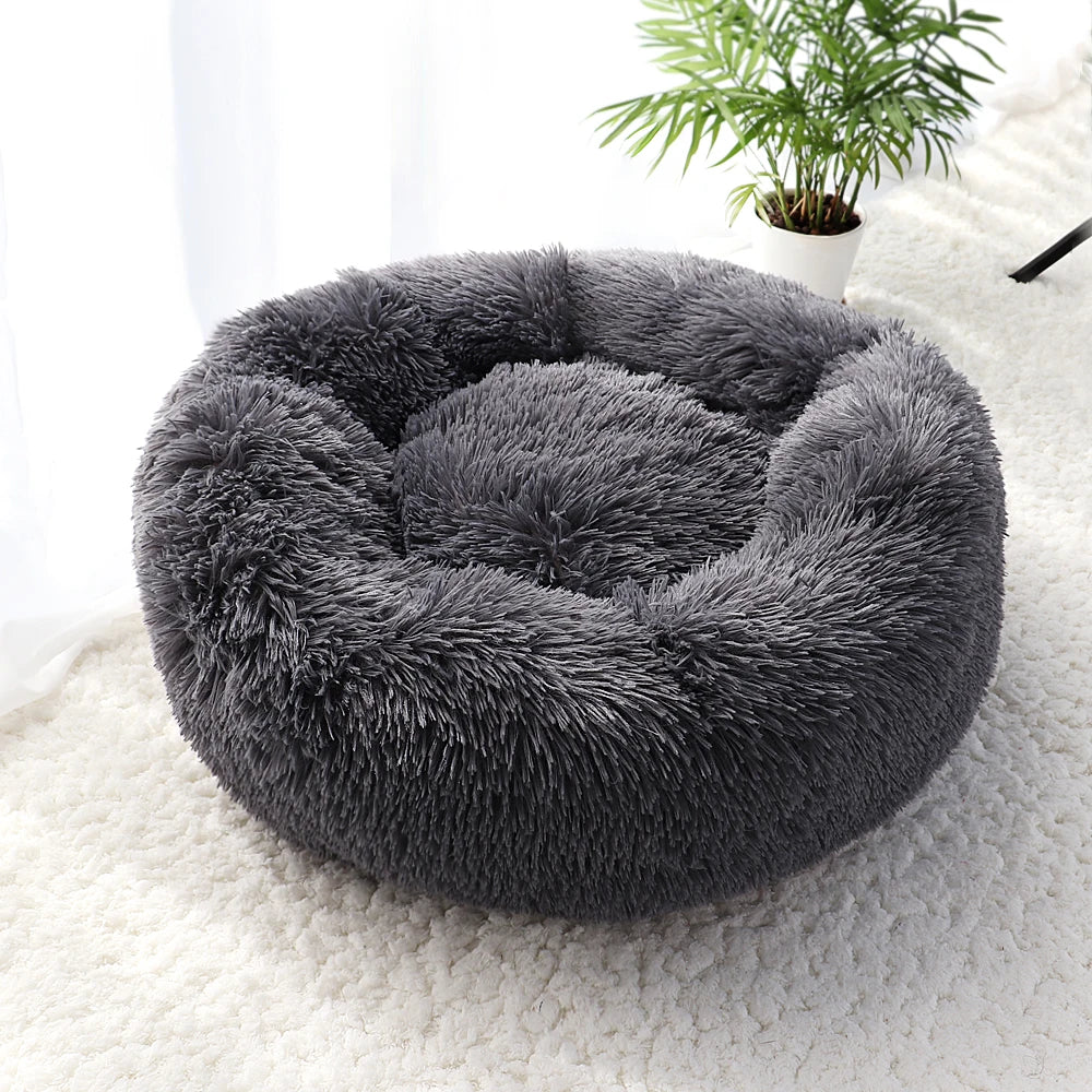 Winter Warm Cat Bed - Snug Semi-Enclosed Snail Shell Design