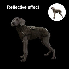 Heavy Duty Winter Dog Coat