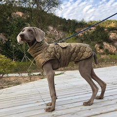 Heavy Duty Winter Dog Coat