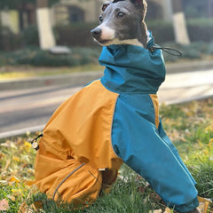 Winter Waterproof Dog Coat