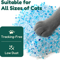 Premium Crystal Cat Litter Refill